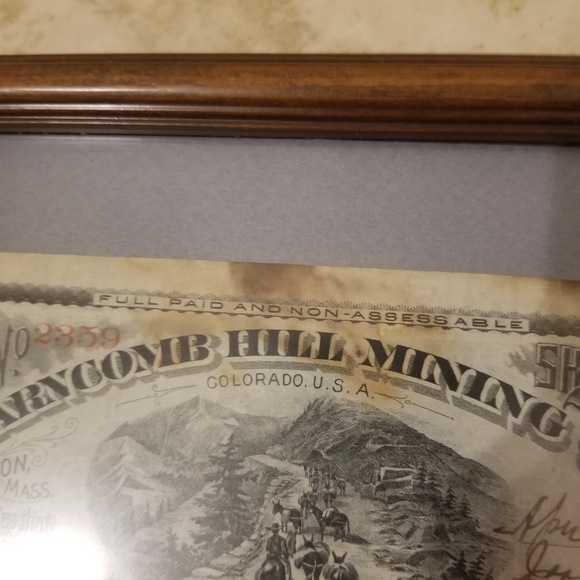 1892 Farncomb Hill Mining co. Colorado stock framed by Deck the walls - Picture 6 of 12